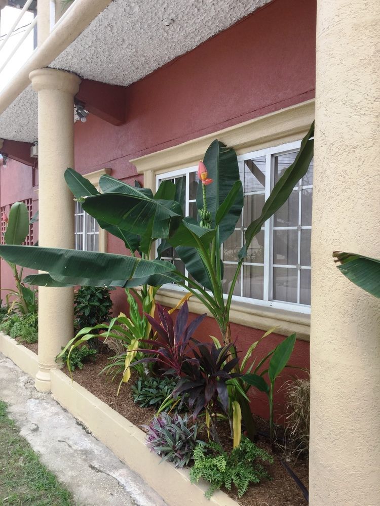Inn Flight Suites Piarco Bagian luar foto